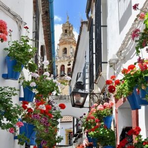 calleja_de_las_flores_bild